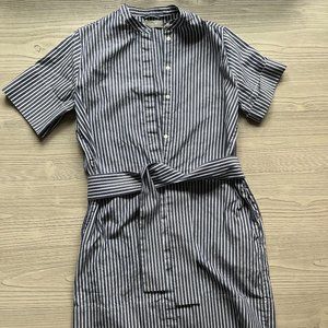 Everlane Shirt Dress (Medium)